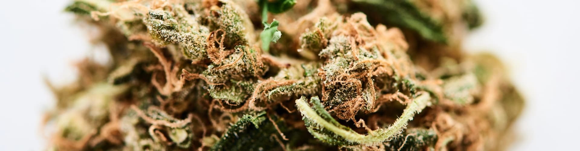 Deezle Cannabis Background